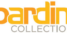 Bardini Collections by Ashley Millennium